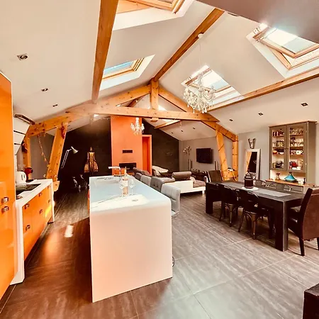 Loft Pres De Paris Et *